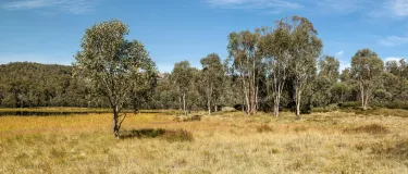 Mitchell Luo on Unsplash: Lake Catani Walking Track - Pano