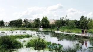 Wetland Vitality in Colombia