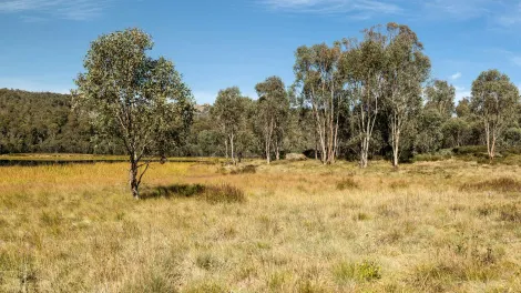 Mitchell Luo on Unsplash: Lake Catani Walking Track - Pano