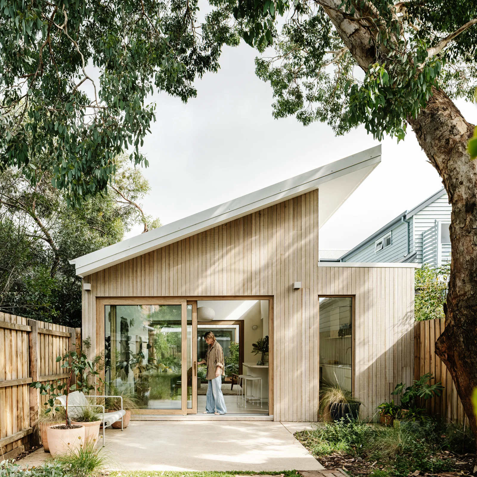Timber-clad extension framed between two established eucalypts behind a heritage cottage in Yarraville, Melbourne.