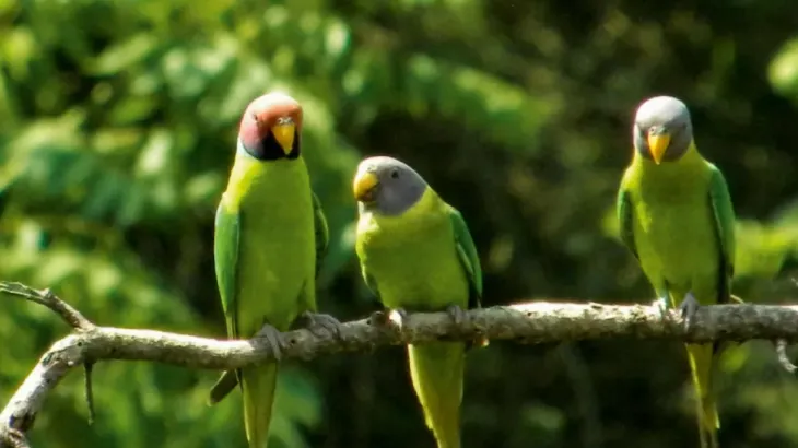 Group biodiversity banner