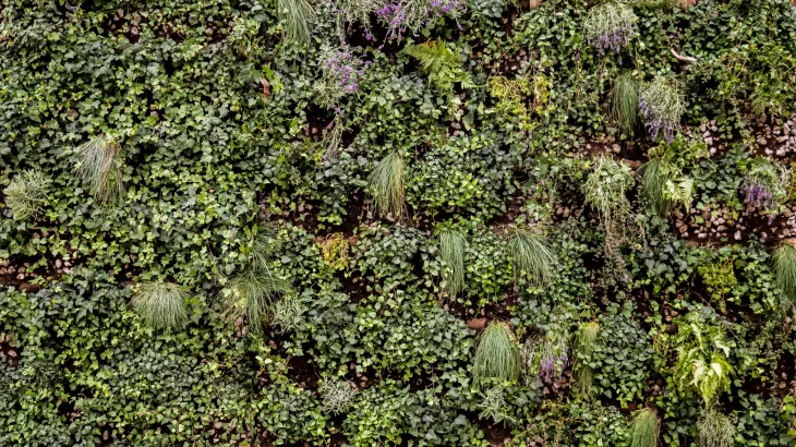 Holcim Bouw & Infra Netherlands - Green Wall