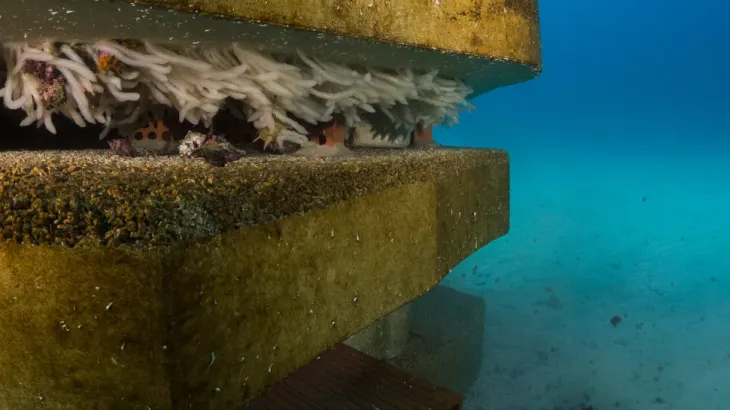 Global Holcim Brand - Seaboost Reef Building Concrete