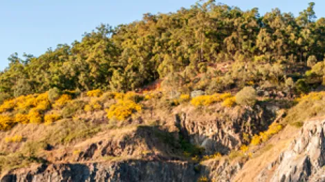 Beenleigh Quarry, Beenleigh, QLD