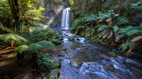 Steve Bittinger on Unsplash: Blue stream with a waterfall - Hopetoun Falls, Beech Forest, Australia