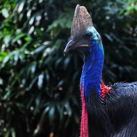 Humes Bebo® Precast Concrete Arch | Cassowary